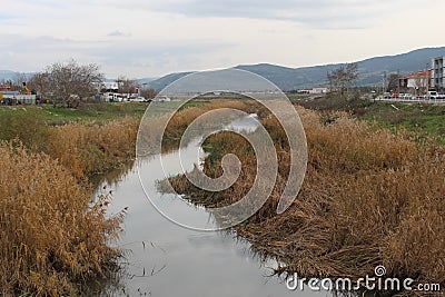 Ã§anakkale sarÄ±Ã§ay Stock Photo