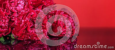 Ðbstract romance background with delicate red peonies flowers, close-up. Romantic banner Stock Photo