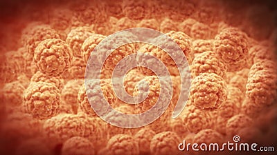 À l'intérieur du corps humain, adipocytes, texture fortement détaillée, longueur courante illustration de vecteur À l'intérieur du corps humain, adipocytes, texture fortement détaillée, longueur courante illustration de vecteur