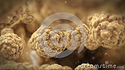 À l'intérieur du corps humain, adipocytes, texture fortement détaillée, longueur courante illustration libre de droits À l'intérieur du corps humain, adipocytes, texture fortement détaillée, longueur courante illustration libre de droits
