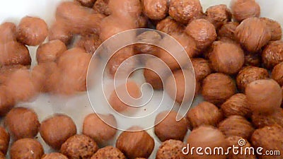 Έκχυση δημητριακών σφαιρών Choco στο άσπρο υπόβαθρο Έκχυση δημητριακών σφαιρών Choco στο άσπρο υπόβαθρο