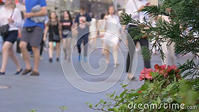 Ένα μεγάλο πλήθος των ανθρώπων που περπατούν κάτω από την οδό Από την εστίαση απόθεμα βίντεο Ένα μεγάλο πλήθος των ανθρώπων που περπατούν κάτω από την οδό Από την εστίαση απόθεμα βίντεο