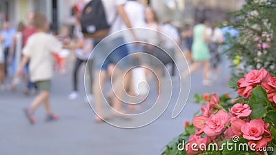 Ένα μεγάλο πλήθος των ανθρώπων που περπατούν κάτω από την οδό Από την εστίαση απόθεμα βίντεο Ένα μεγάλο πλήθος των ανθρώπων που περπατούν κάτω από την οδό Από την εστίαση απόθεμα βίντεο