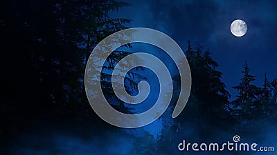 Δασικά έλος και φεγγάρι της Misty νύχτας φιλμ μικρού μήκους Δασικά έλος και φεγγάρι της Misty νύχτας φιλμ μικρού μήκους