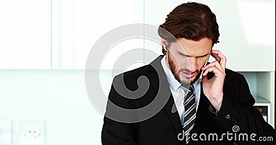 Επιχειρηματίας που μιλά στο κινητό τηλέφωνο χρησιμοποιώντας το lap-top στην κουζίνα απόθεμα βίντεο Επιχειρηματίας που μιλά στο κινητό τηλέφωνο χρησιμοποιώντας το lap-top στην κουζίνα απόθεμα βίντεο