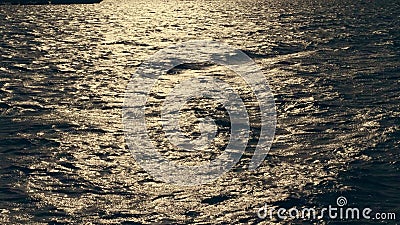 Κινηματογράφηση σε πρώτο πλάνο, κύματα θάλασσας στο ηλιοβασίλεμα, στις ακτίνες του μαλακού φωτός του ήλιου έντονο φως στο νερό φιλμ μικρού μήκους Κινηματογράφηση σε πρώτο πλάνο, κύματα θάλασσας στο ηλιοβασίλεμα, στις ακτίνες του μαλακού φωτός του ήλιου έντονο φως στο νερό φιλμ μικρού μήκους