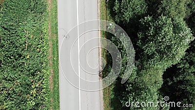 Κορυφαία θέα ορεινού δρόου Drone που πετάει κατά μήκος του δρόμου Κεραία άποψη του δρόμου με αυτοκίνητα που οδηγούν μεταξύ δέντρω φιλμ μικρού μήκους Κορυφαία θέα ορεινού δρόου Drone που πετάει κατά μήκος του δρόμου Κεραία άποψη του δρόμου με αυτοκίνητα που οδηγούν μεταξύ δέντρω φιλμ μικρού μήκους