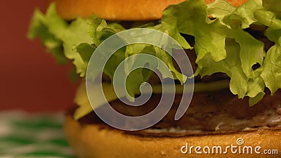Μεγάλο εύγευστο διπλό cheeseburger στον πίνακα στο εστιατόριο γρήγορου φαγητού, κλείνει επάνω απόθεμα βίντεο Μεγάλο εύγευστο διπλό cheeseburger στον πίνακα στο εστιατόριο γρήγορου φαγητού, κλείνει επάνω απόθεμα βίντεο