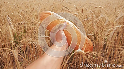 το άτομο κρατά μια φραντζόλα ψωμιού σε έναν τομέα σίτου σε αργή κίνηση βίντεο επιτυχής τρόπος ζωής γεωπόνων στον τομέα του σίτου φιλμ μικρού μήκους το άτομο κρατά μια φραντζόλα ψωμιού σε έναν τομέα σίτου σε αργή κίνηση βίντεο επιτυχής τρόπος ζωής γεωπόνων στον τομέα του σίτου φιλμ μικρού μήκους