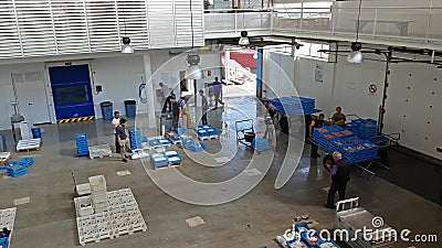 Аукцион рыб Бланес, Испания Контейнеры на транспортере Аукцион рыб Бланес, Испания Контейнеры на транспортере