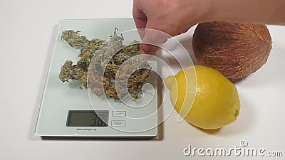 Весы марихуана конопля омской области