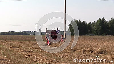 Крестьянские заводы пшеницы сбора наемного сельскохозяйственного рабочего с малым зернокомбайном сток-видео Крестьянские заводы пшеницы сбора наемного сельскохозяйственного рабочего с малым зернокомбайном сток-видео