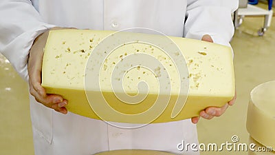 Продукция сыра видеоматериал Продукция сыра видеоматериал