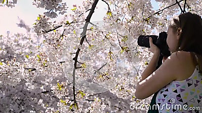 Стрельба девушки молодой женщины принимая dslr камеры изображений сток-видео Стрельба девушки молодой женщины принимая dslr камеры изображений сток-видео