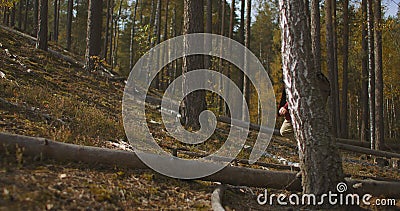 Устав от hiker поднимается над уклоном в лесу на дне осени, седой человек несет на себе рюкзак и собирается в одиночку акции видеоматериалы Устав от hiker поднимается над уклоном в лесу на дне осени, седой человек несет на себе рюкзак и собирается в одиночку акции видеоматериалы