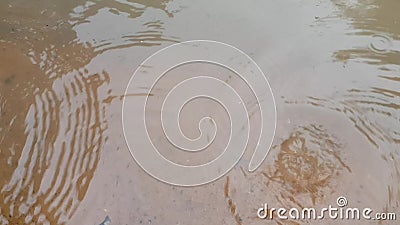 Цветные красные, желтые и зелёные рождественские деревья Бокех, фоновый рисунок, излучающий свет, рождественский фон видеоматериал Цветные красные, желтые и зелёные рождественские деревья Бокех, фоновый рисунок, излучающий свет, рождественский фон видеоматериал