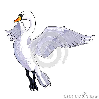 度娘是什么意思