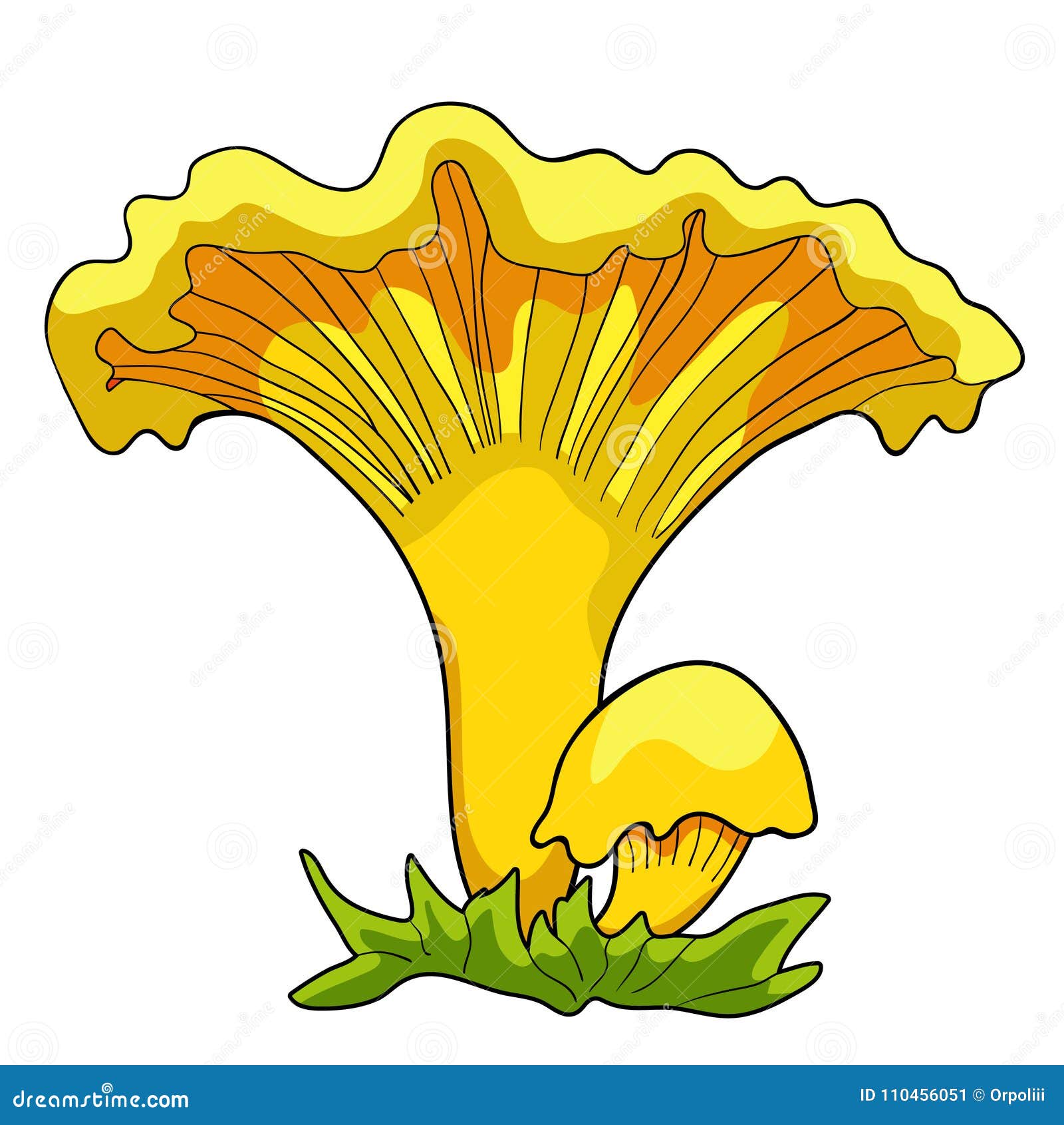 Грибы Лисички Картинки Для Детей Цветные