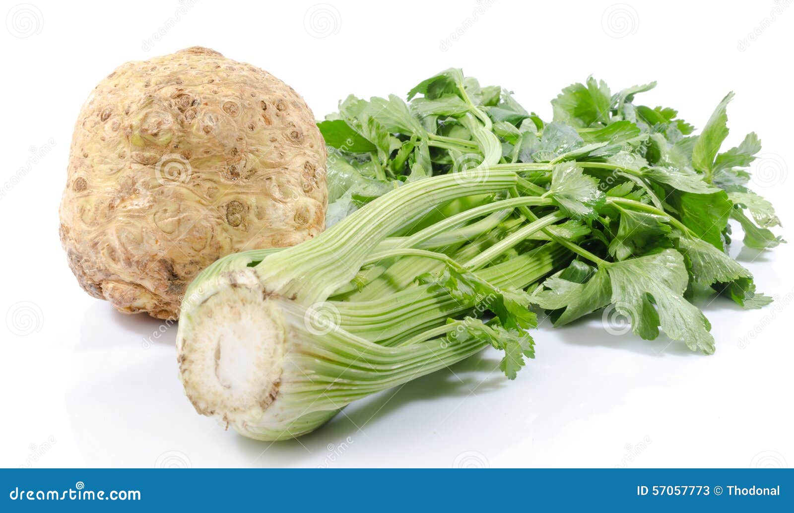 Экстракт Сельдерея Купить В Аптеке