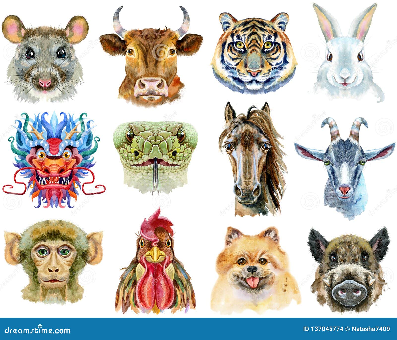 12 Символов Года Купить