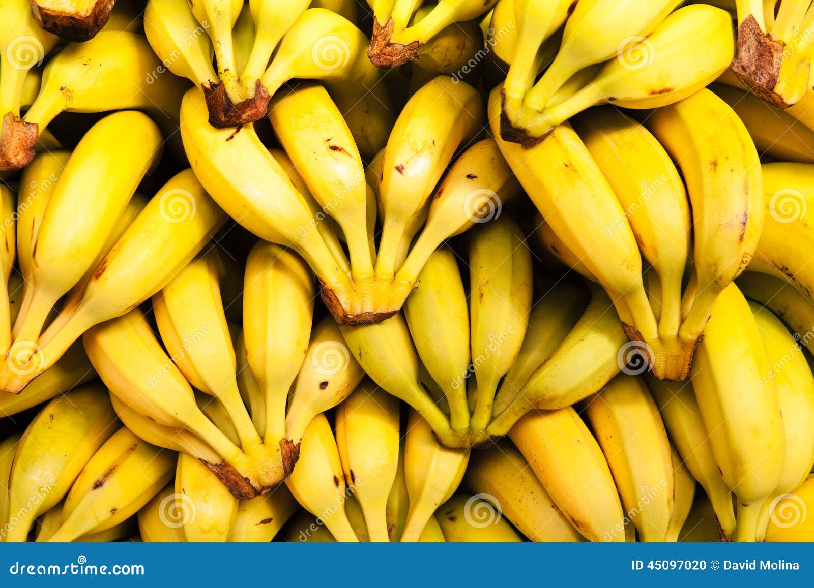 Cloveress Banana