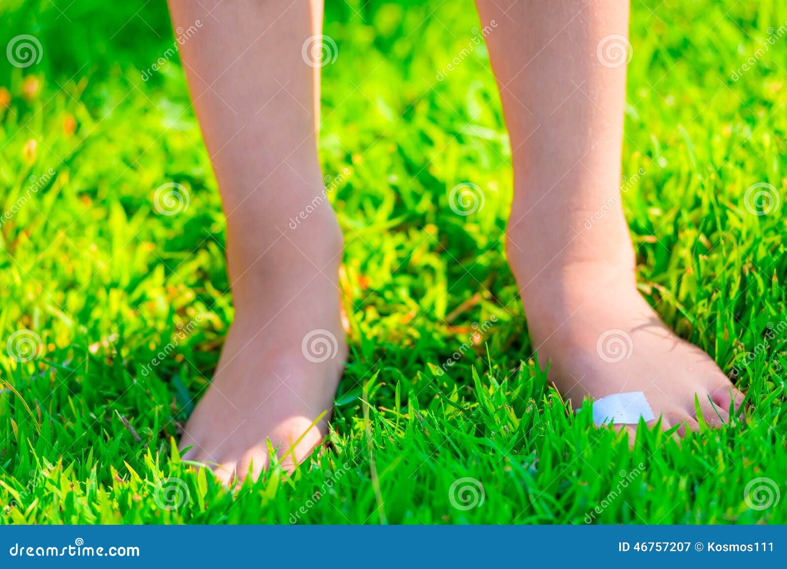 Купить Книгу Босиком По Траве