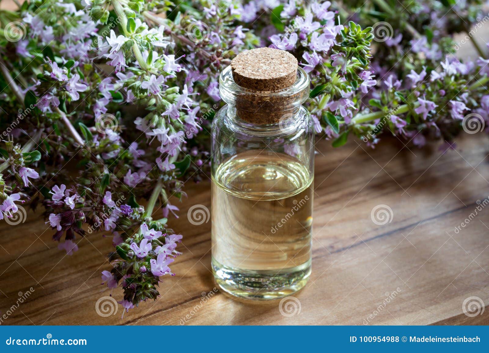 Тимьян Белый Масло Эфирное Купить