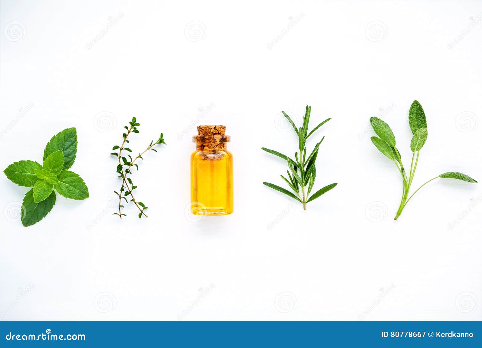 Тимьян Белый Масло Эфирное Купить