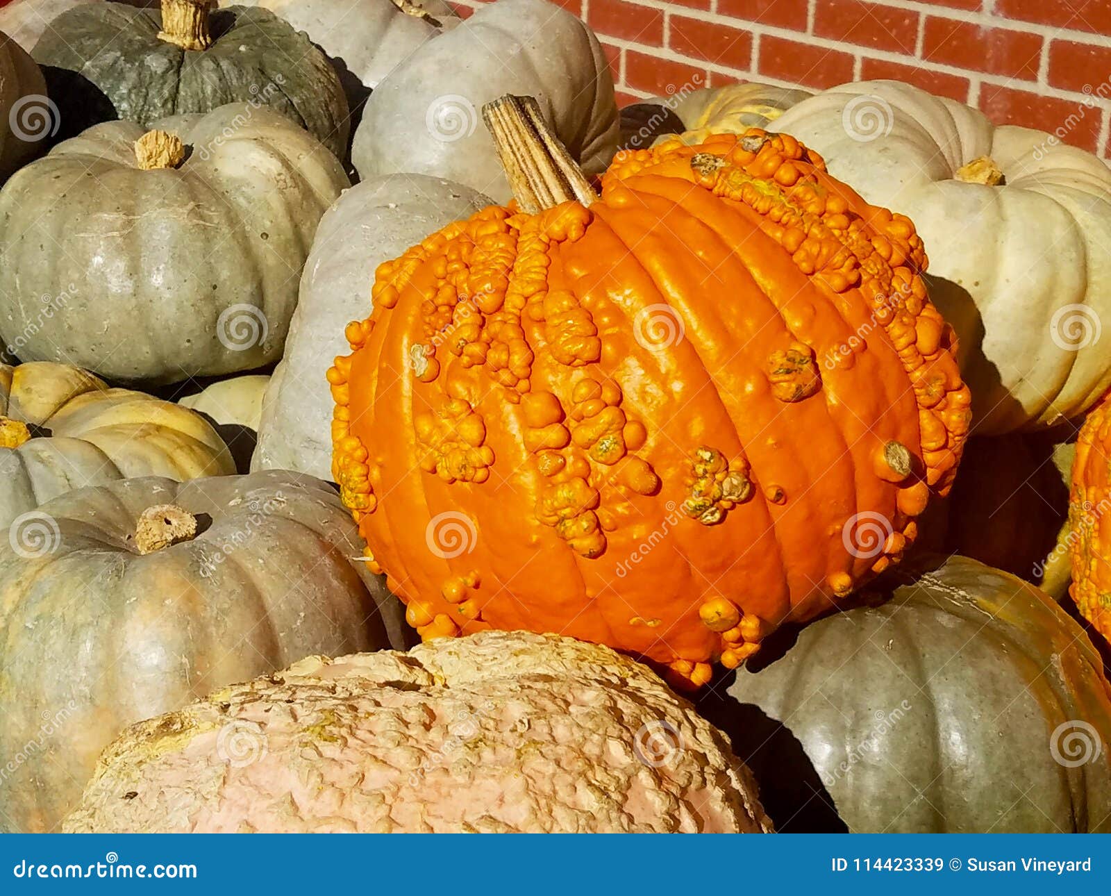Princess Pumpkins