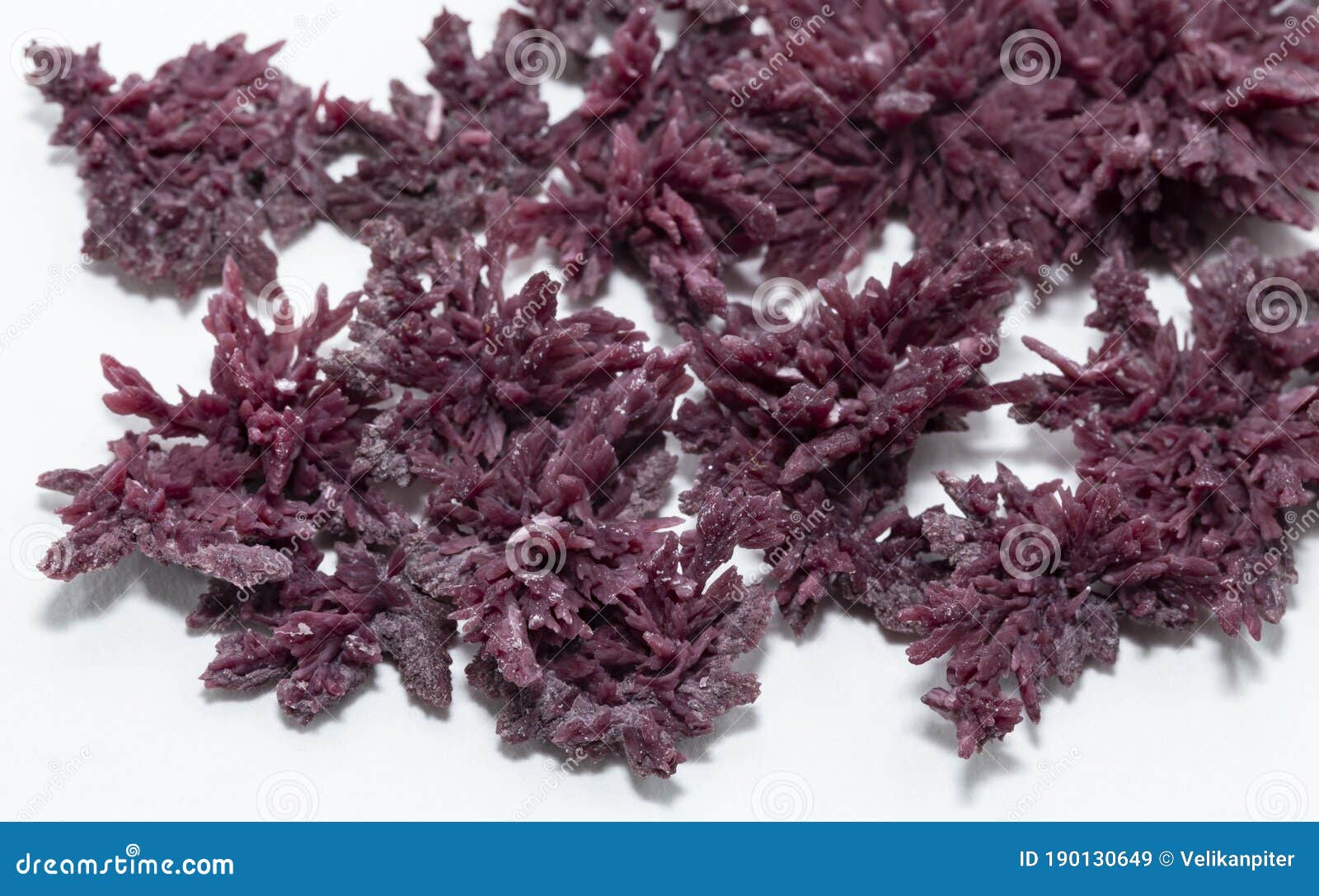 Винный Камень Где Купить В Спб