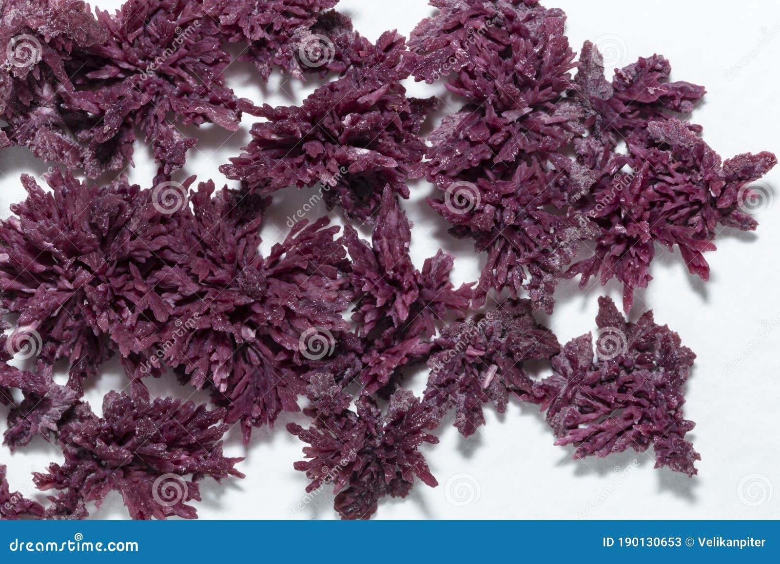 Где Можно Купить Винный Камень