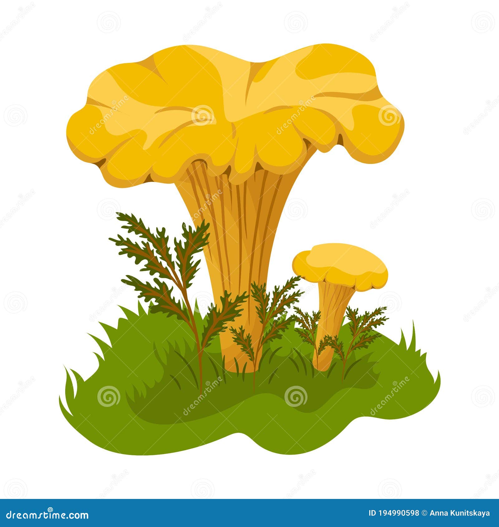 Грибы Лисички Картинки Для Детей Цветные