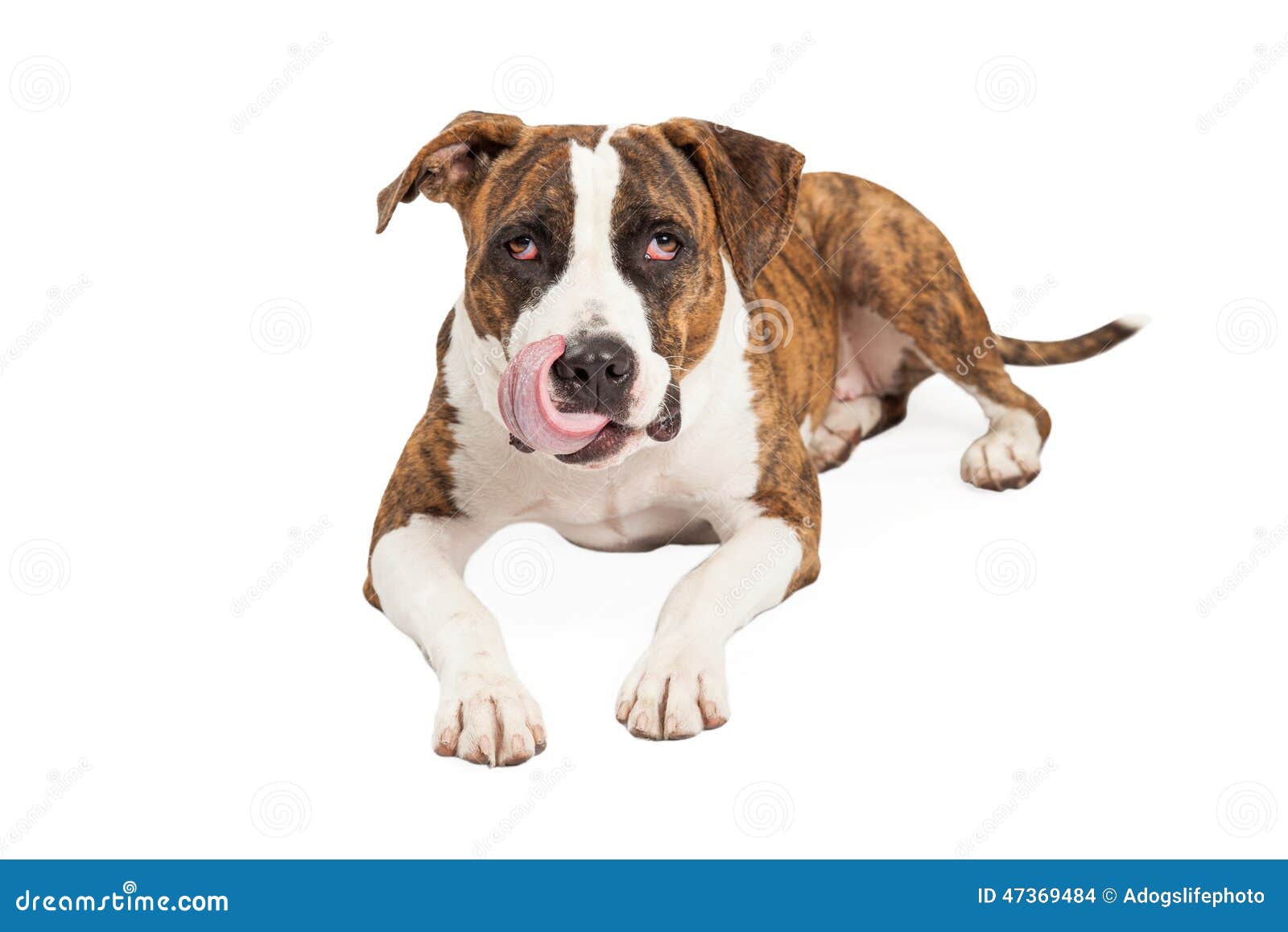 Daredorm Crossing Lips