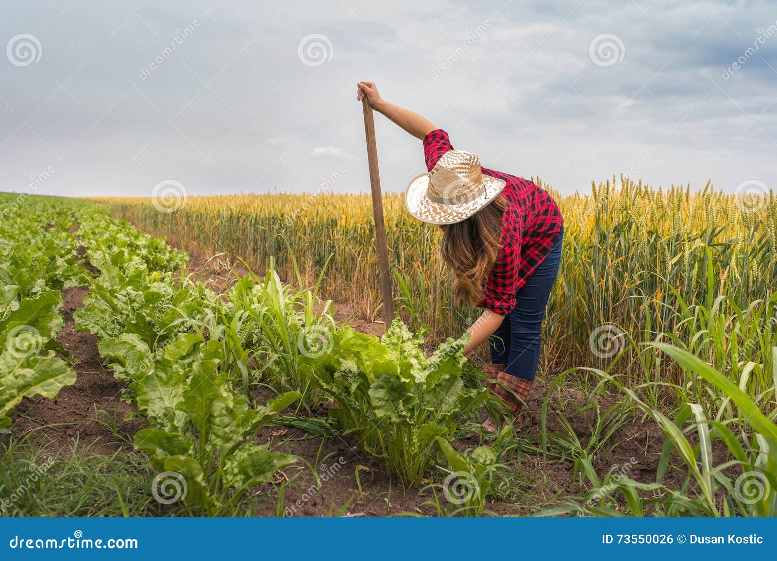 Farm Girl Bikini