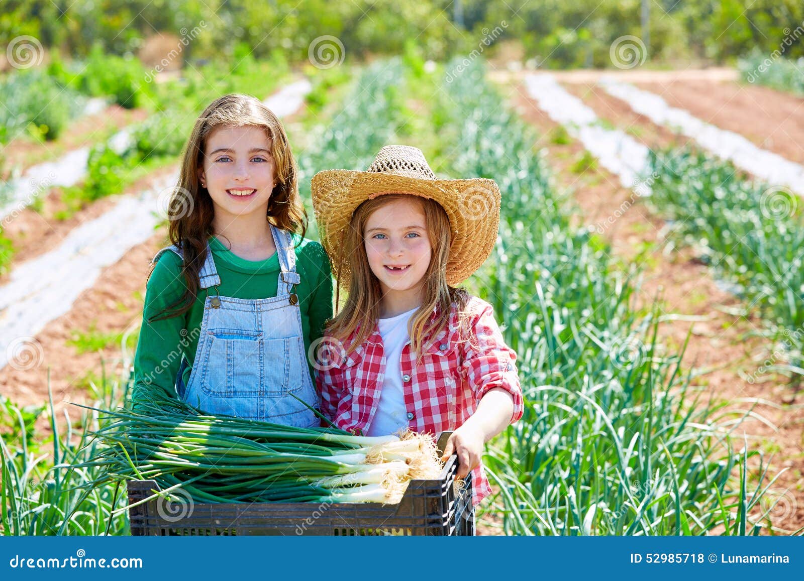 Farm Girl Bikini