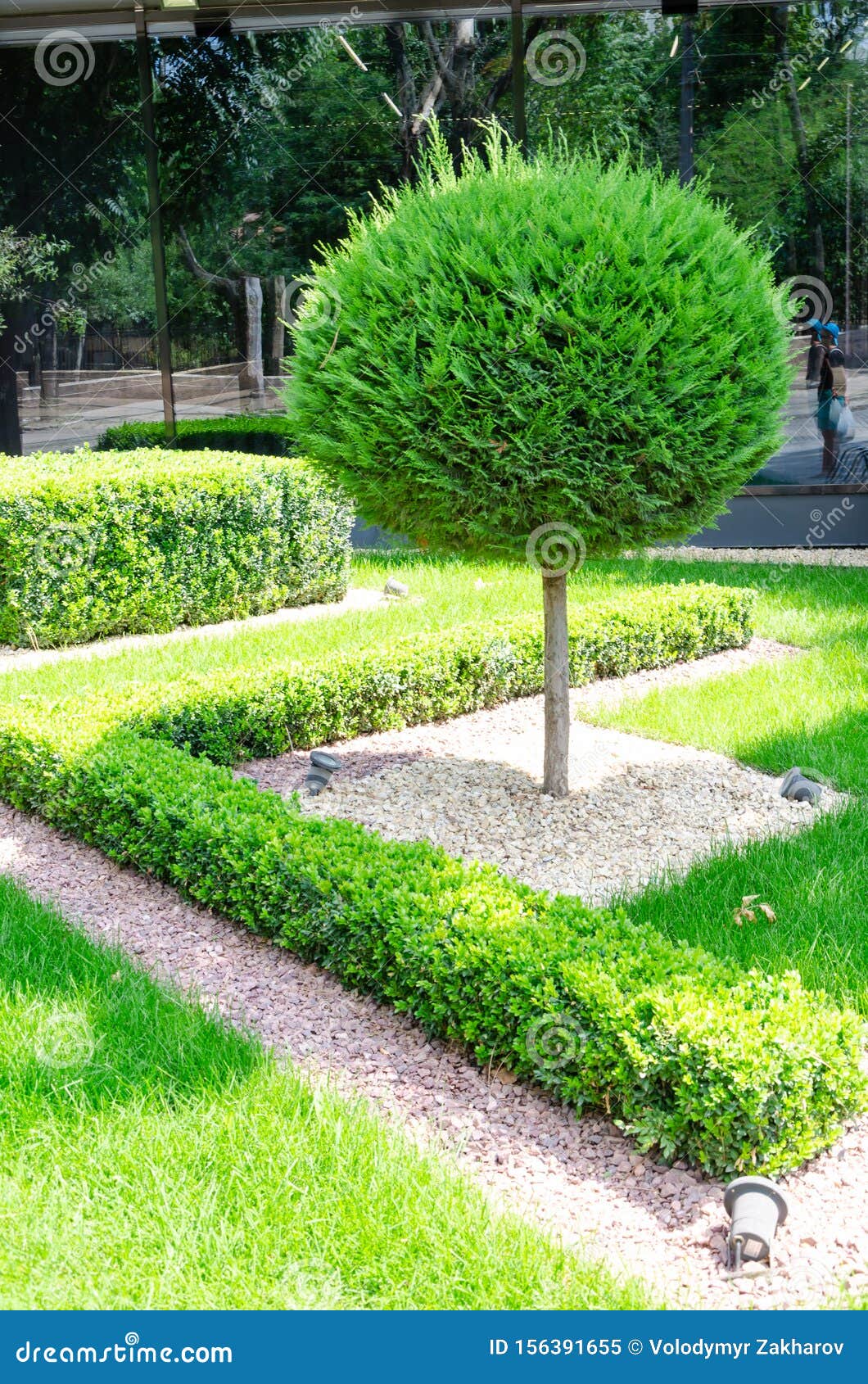 Trimmed Bush