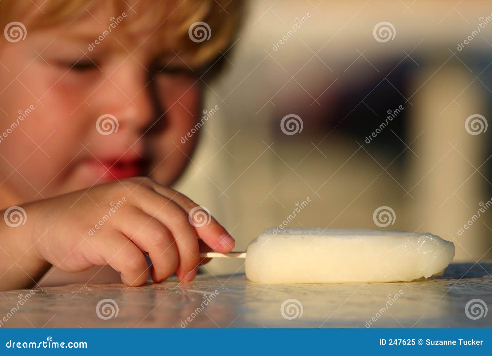 Sugar Leche Baby
