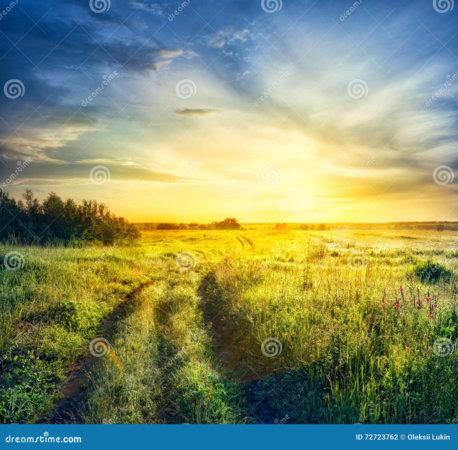 Dawn Ascending