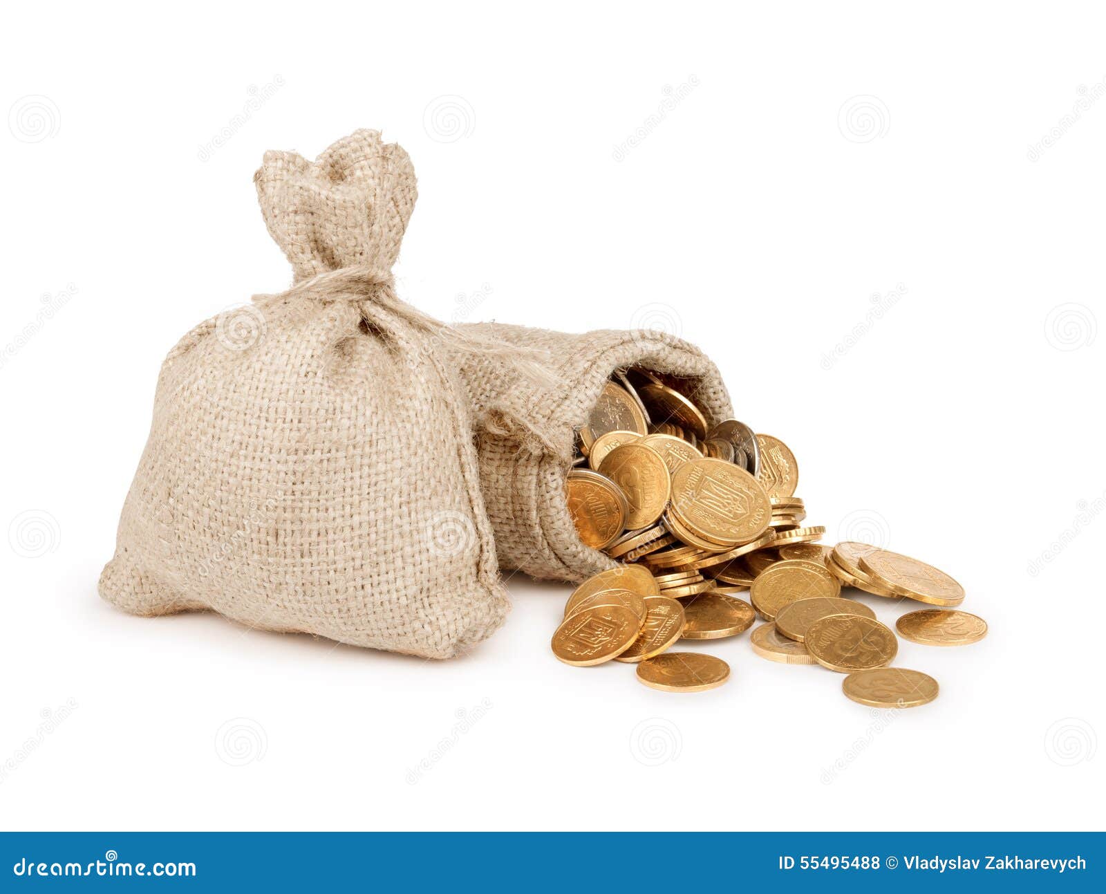 Где Купить Мешок Монет