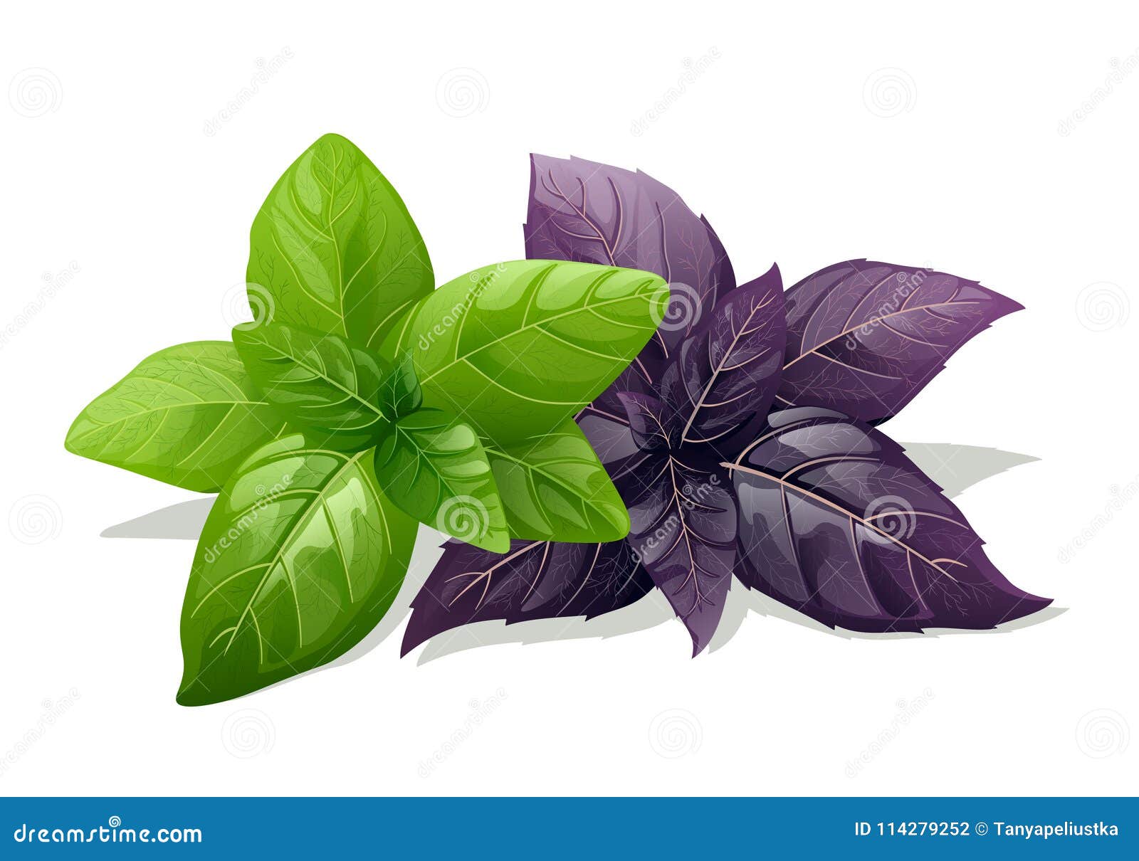 Посуда Черный Базилик Купить