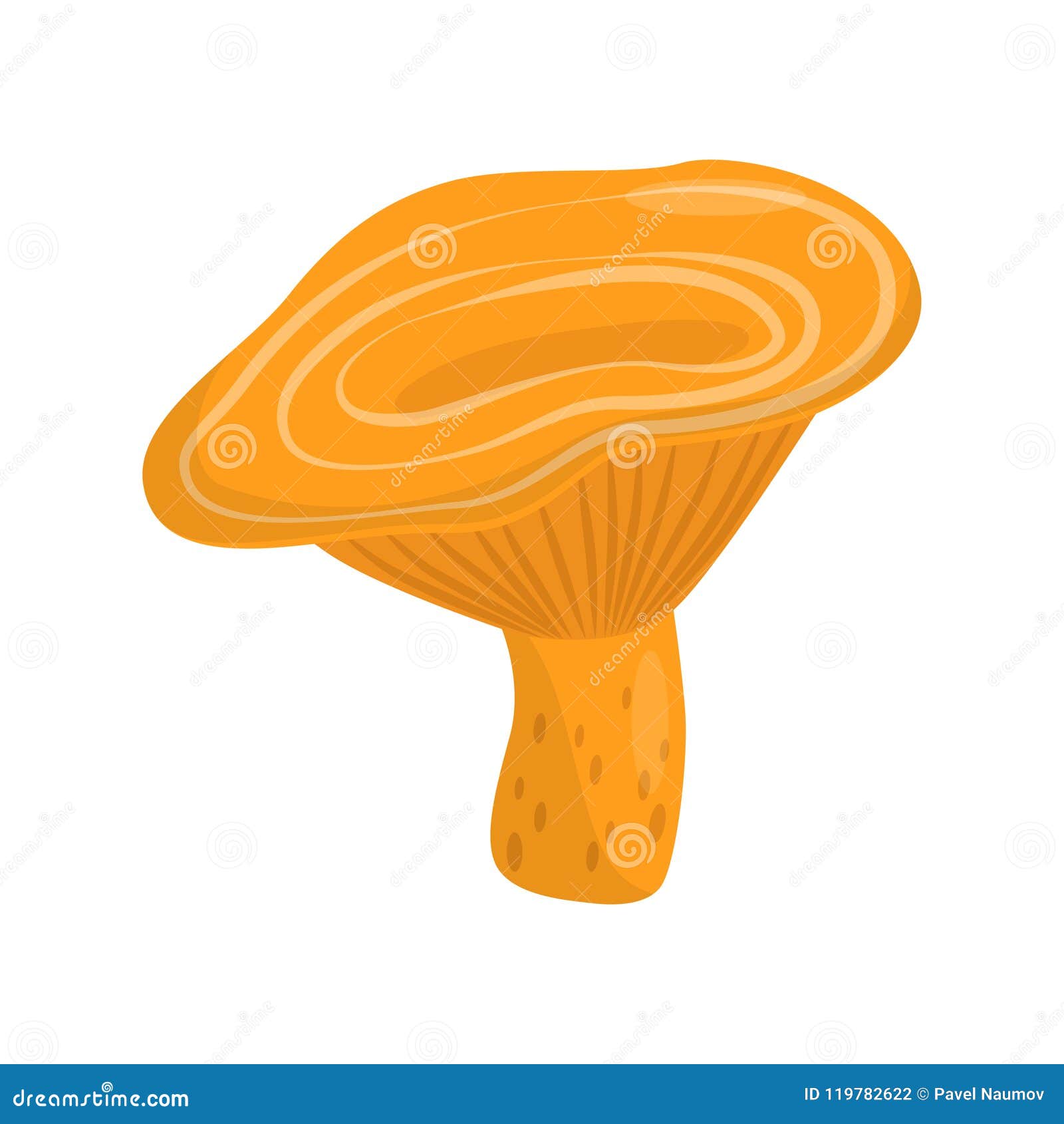 Грибы Лисички Картинки Для Детей Цветные