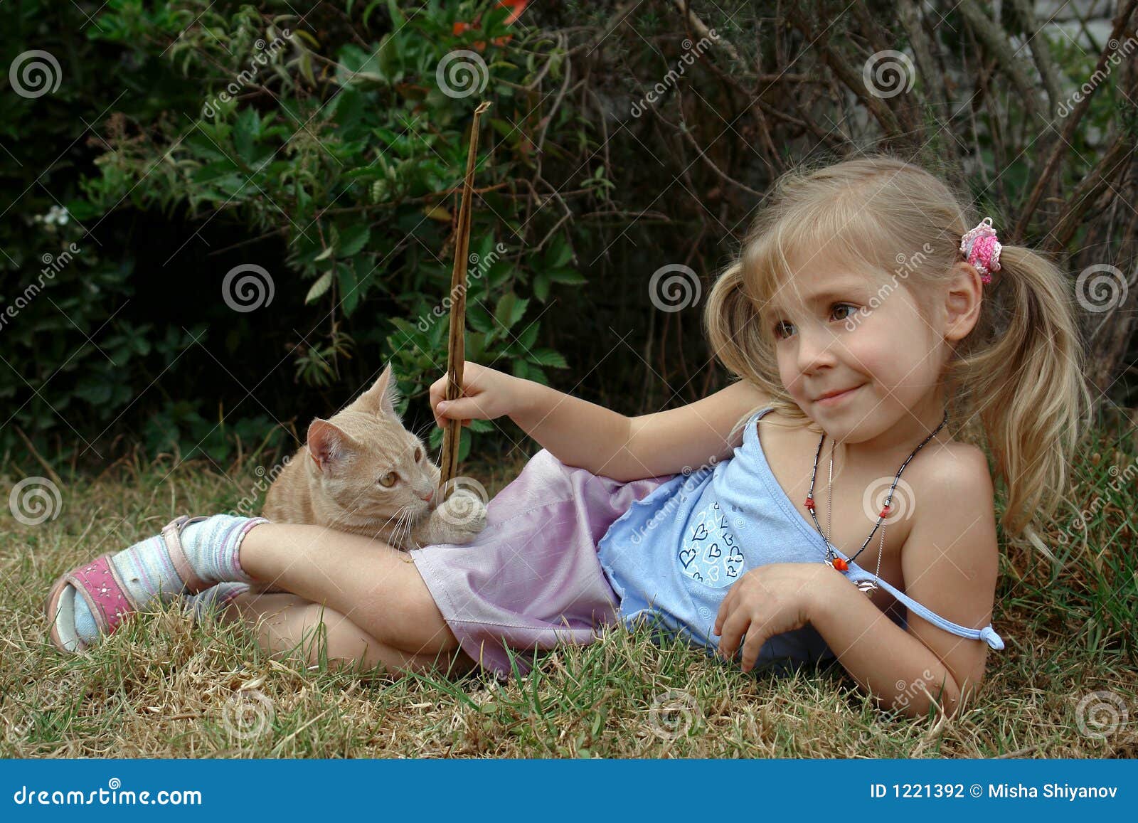 Kitty Plays