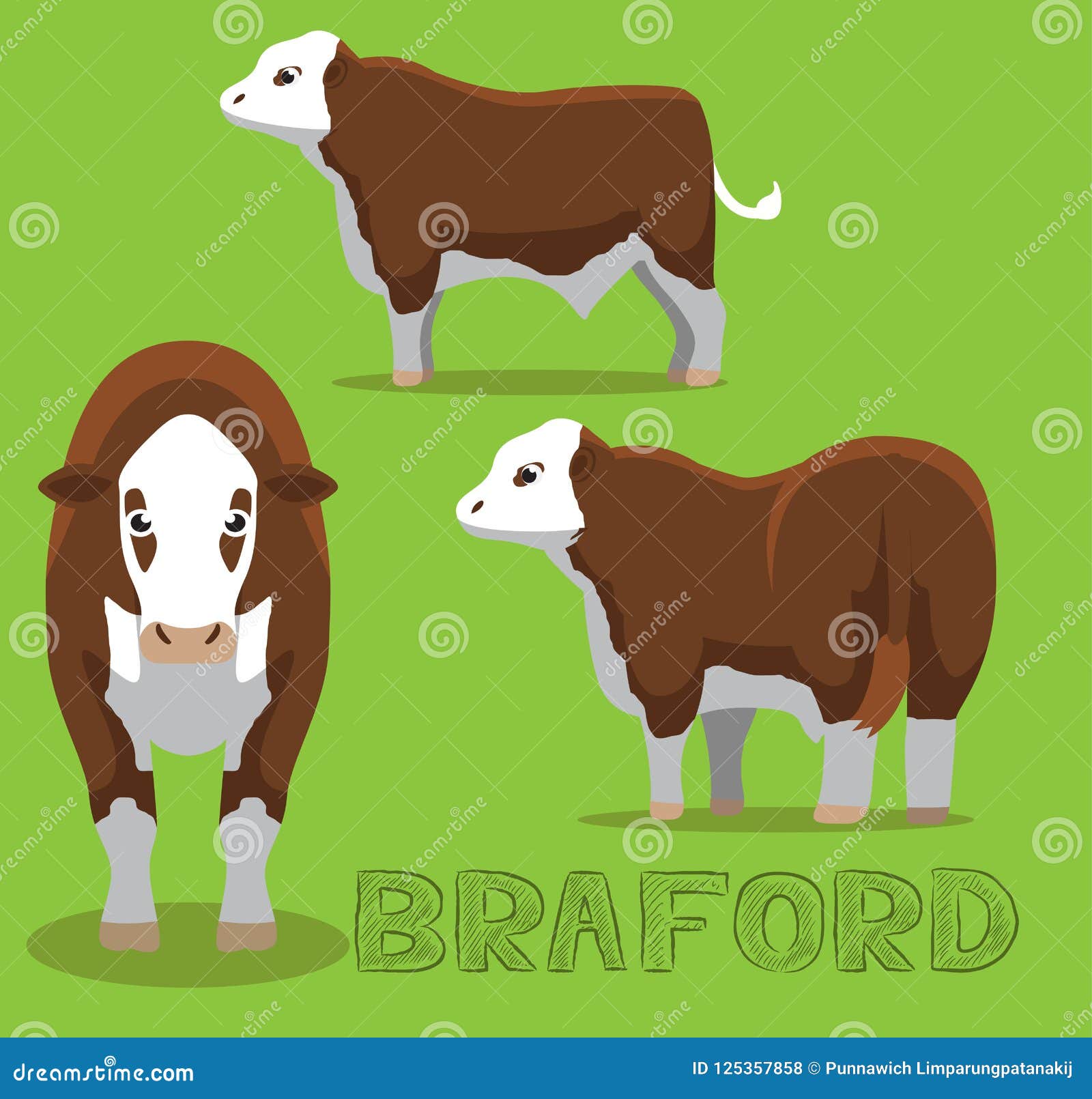 Braford Patreon