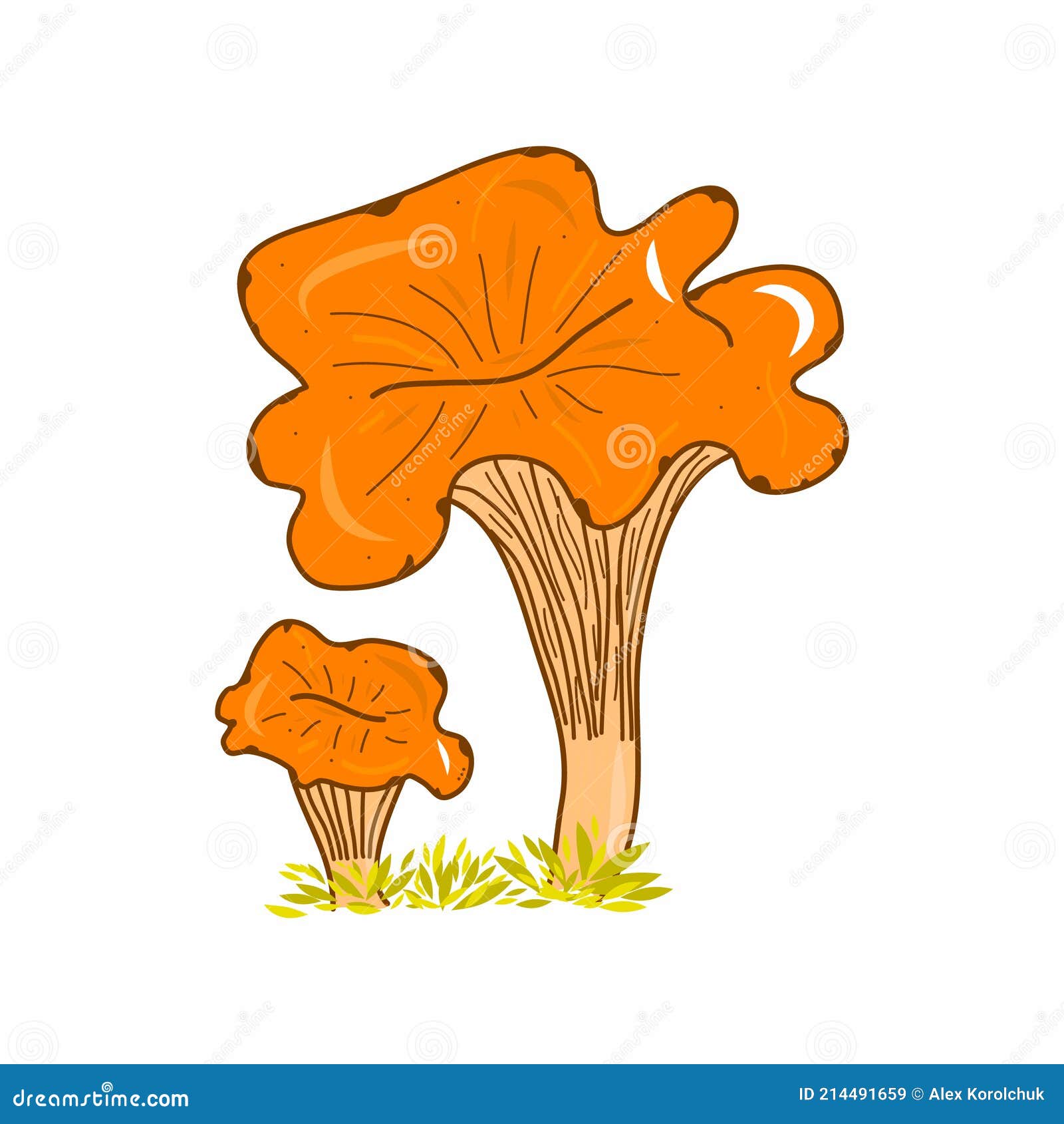 Грибы Лисички Картинки Для Детей Цветные