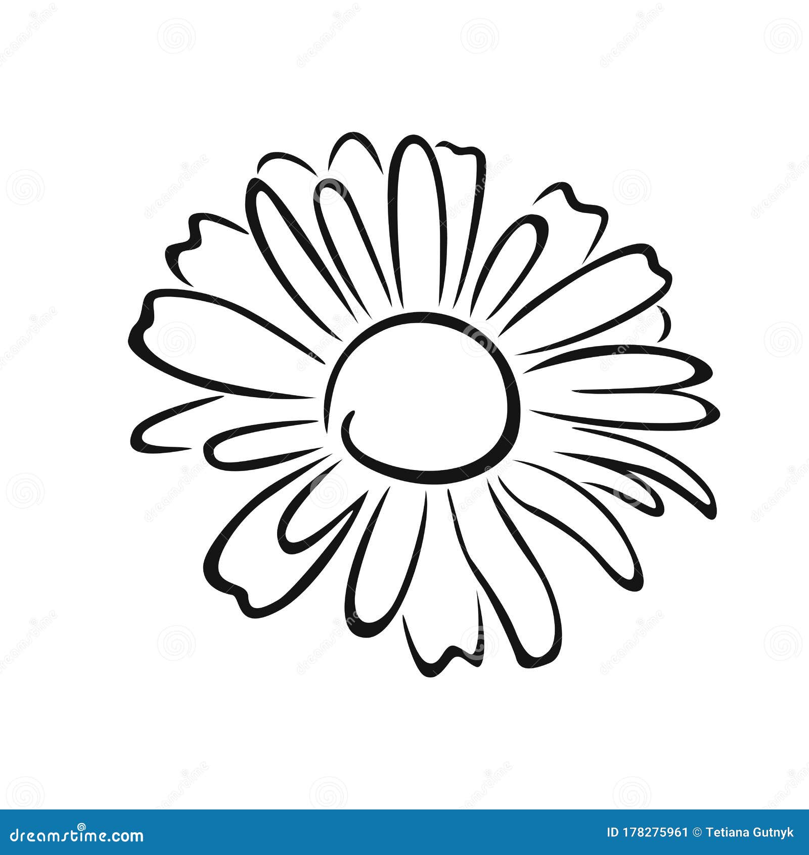 Pics Of Daisy