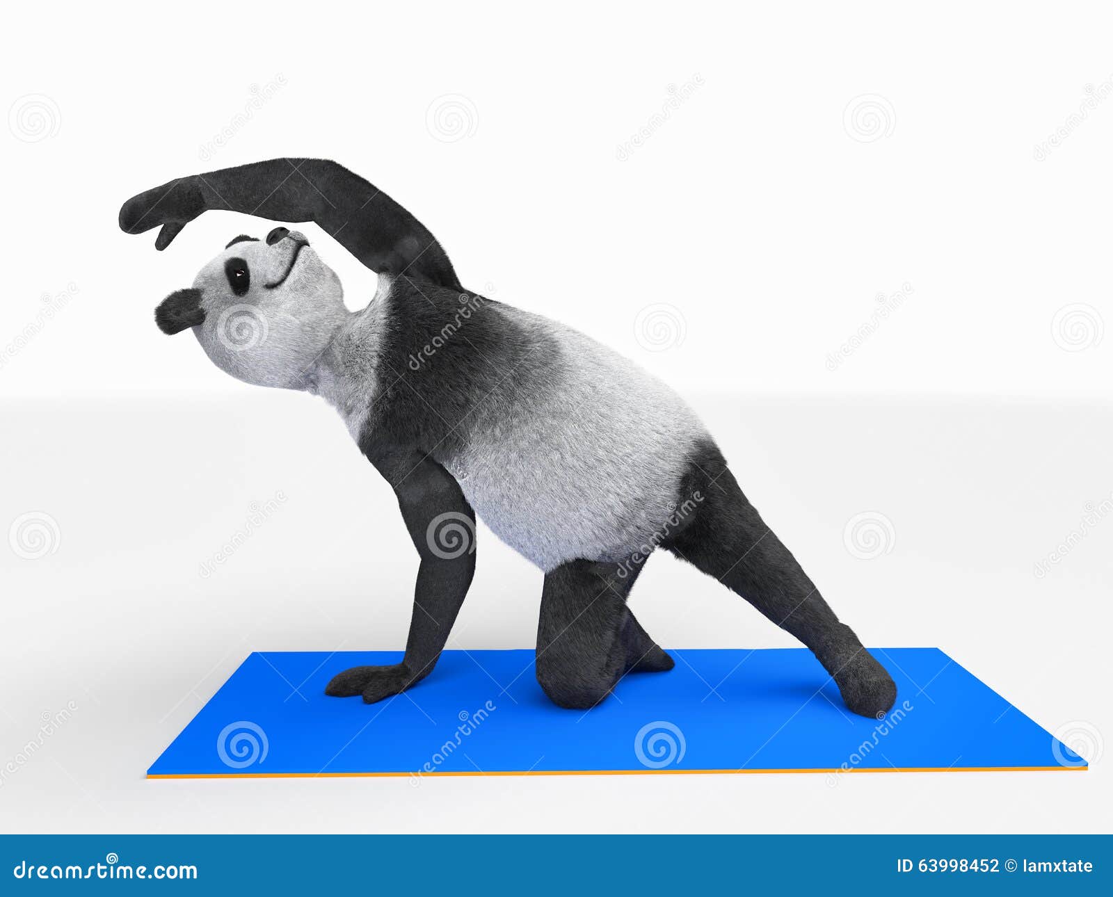 Panda Muscle