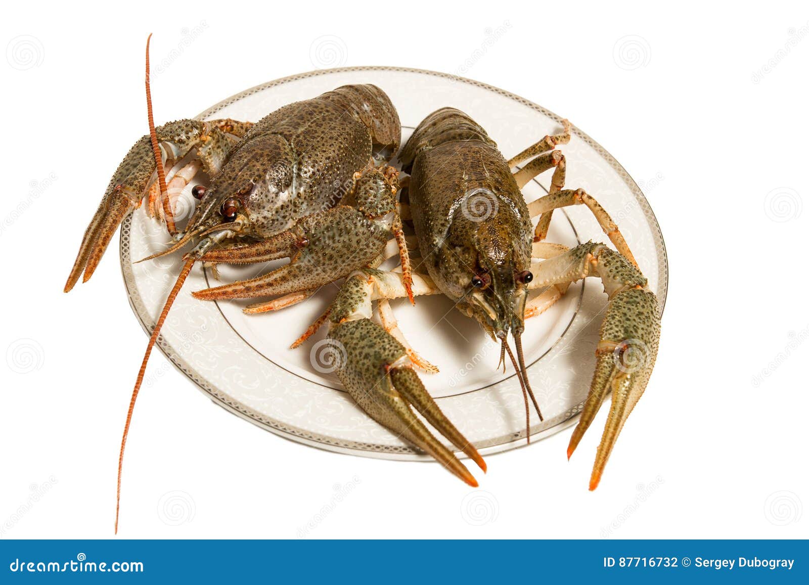 Ставрополь Где Купить Раков