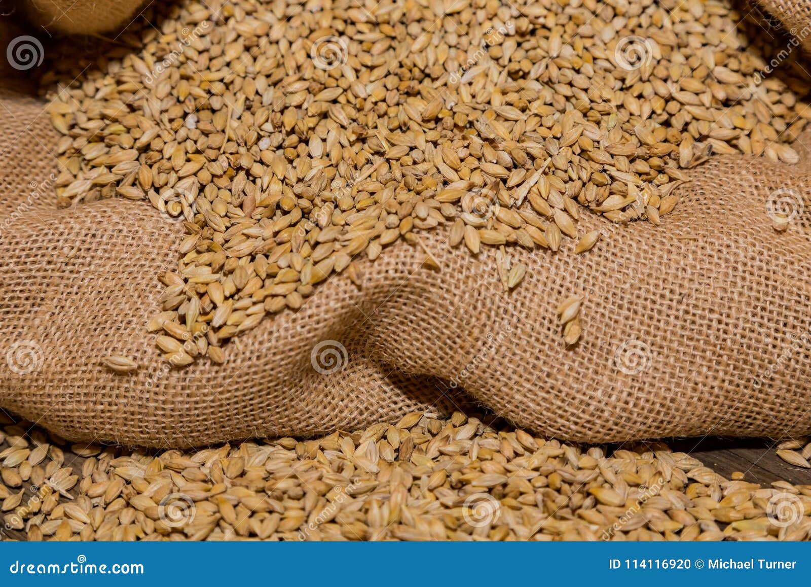 Солод Оптом Для Пива В Мешках Купить