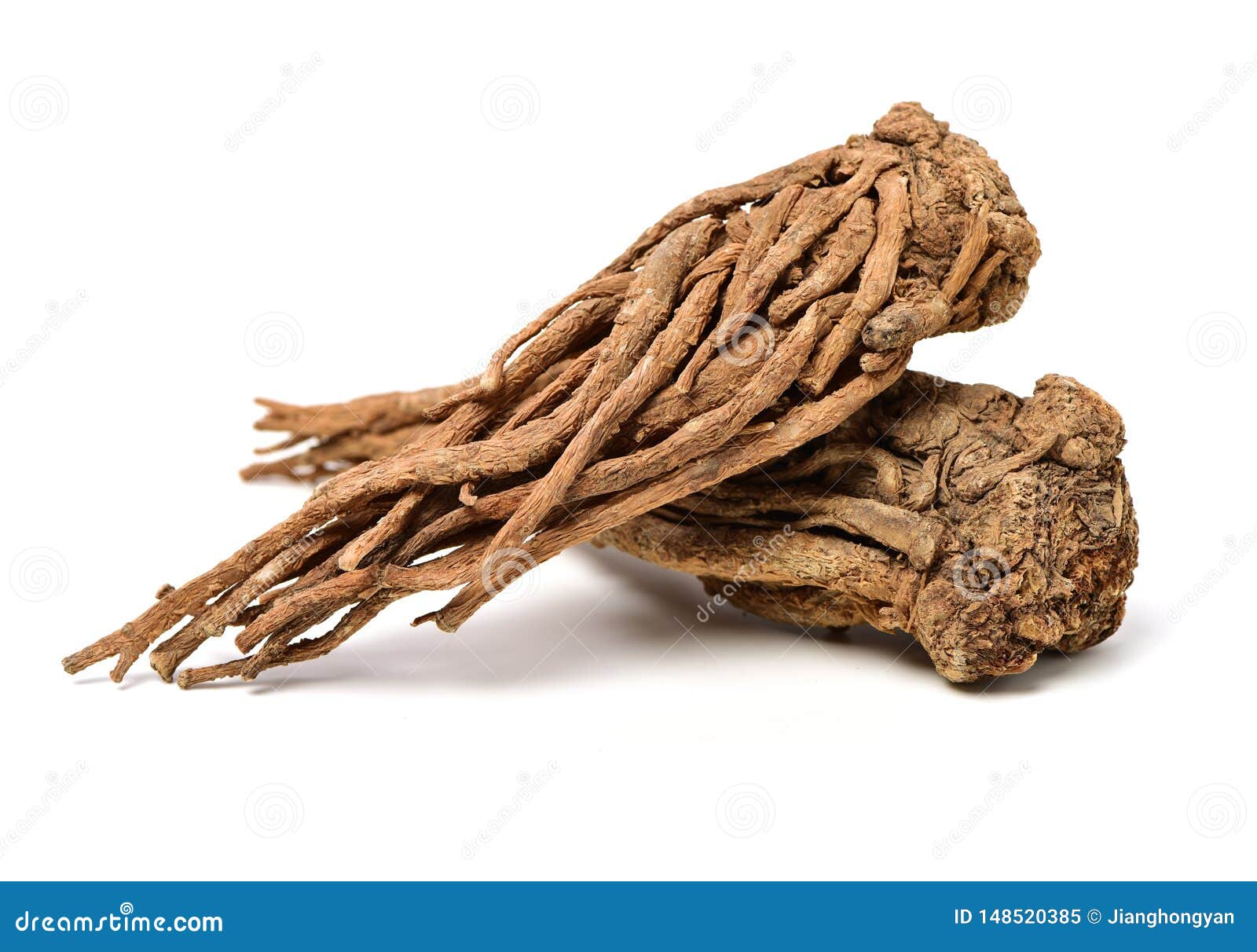 Корень Дягиля Купить