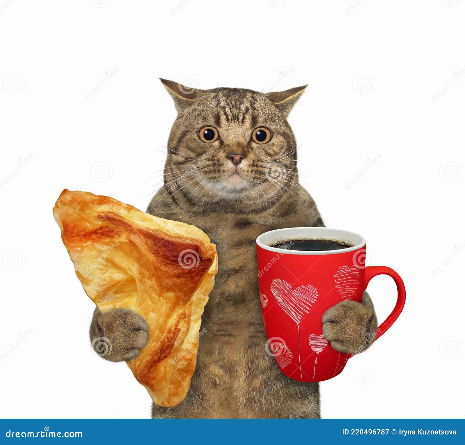 Котик С Кофе Картинки